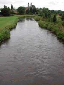 Zorgt als waterschap voor de kwaliteit van het oppervlaktewater in de hele provincie Limburg